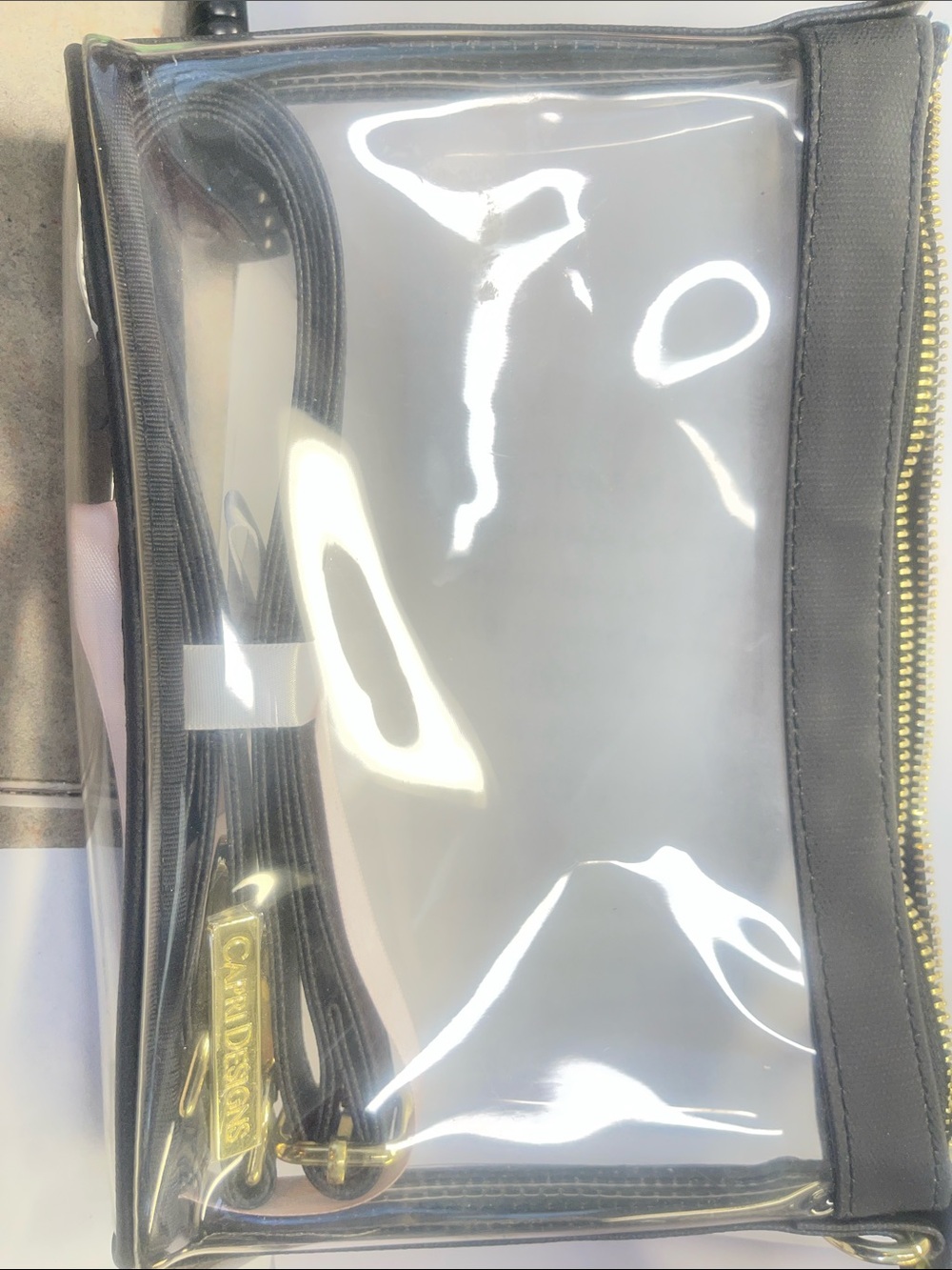 Clear Crossbody Bag with Black Trim and Gold Hardware